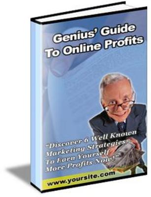 Product picture Genius Guide To Online Profits